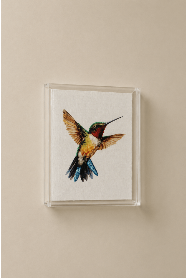 Quadro Acrilico Beija Flor  Mimo Galeria